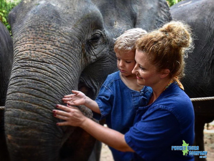 Krabi Elephant Sanctuary Program B Afternoon Tour
