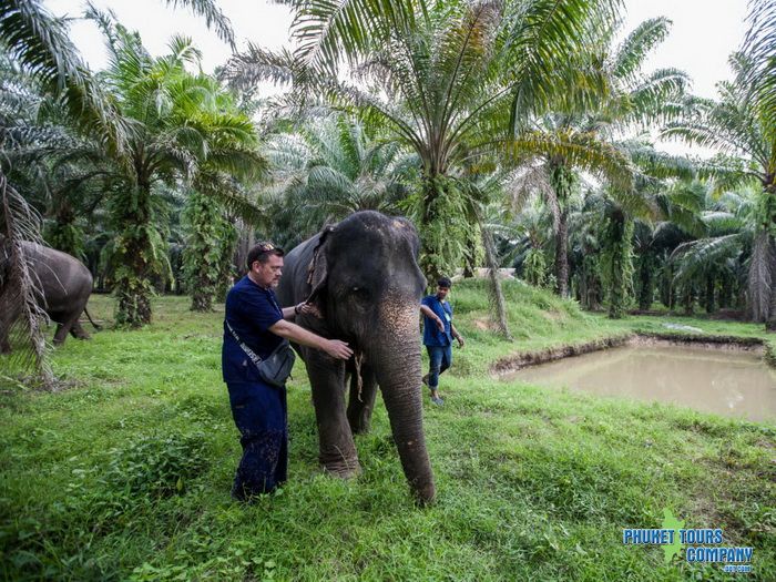 Krabi Elephant Sanctuary Program B Morning Tour
