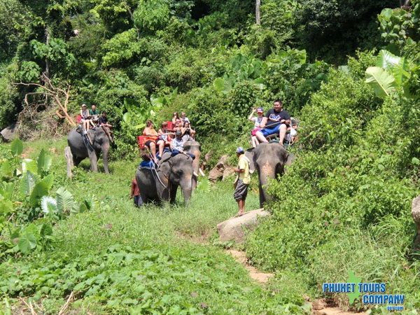 phuket buggy tour