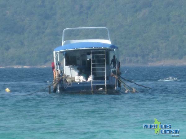 Coral Island Tour + Sea Walking