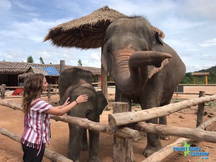 Phuket Elephant Family Care Tour Afternoon