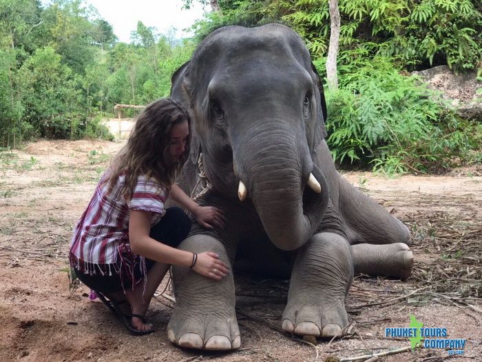 Phuket Elephant Family Care Tour Morning