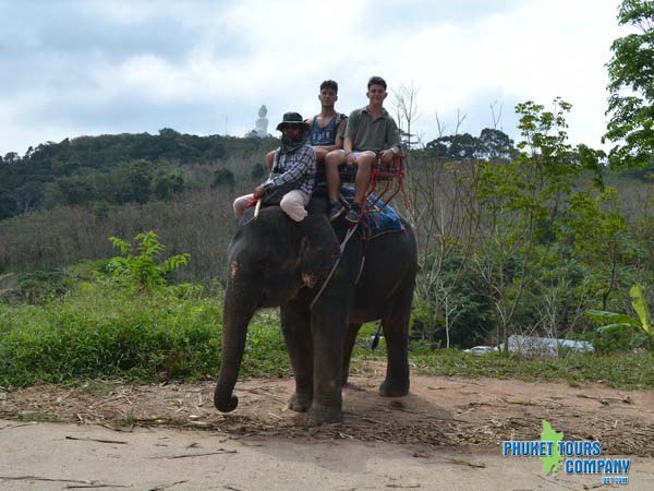 Phuket Elephant Trekking 30 Minutes