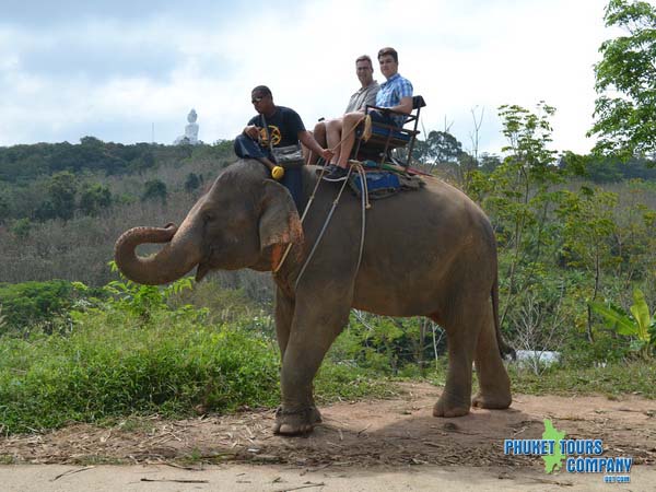 Phuket Elephant Trekking 30 Minutes