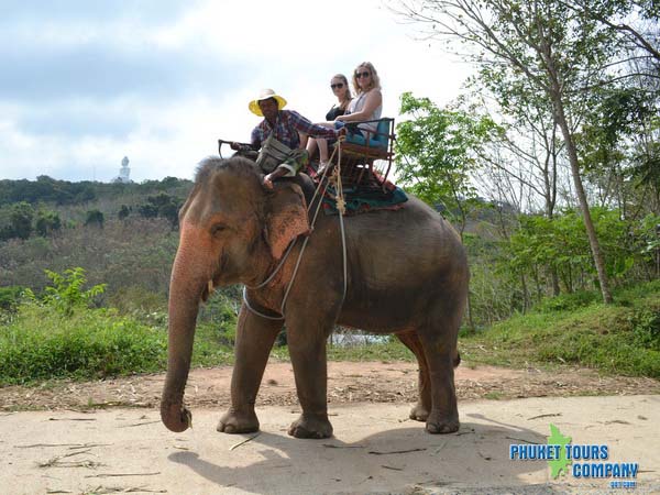 Phuket Elephant Trekking 30 Minutes