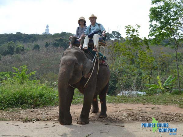 Phuket Elephant Trekking 30 Minutes