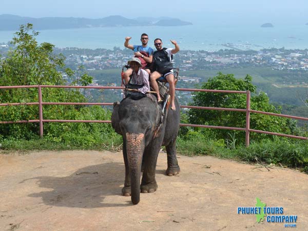 Phuket Elephant Trekking 1 Hour