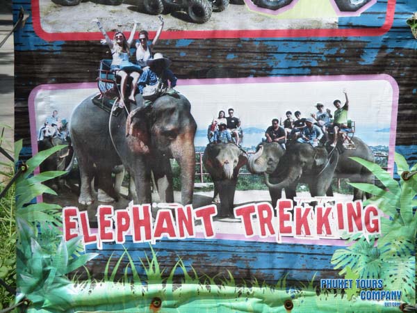 Phuket Elephant Trekking 1 Hour