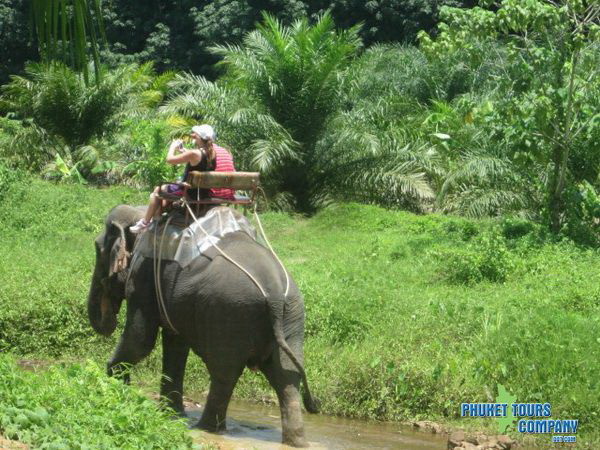 Khao Lak Nature Safari Day Tour