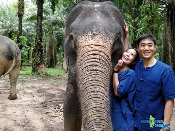 Krabi Elephant Sanctuary Program A