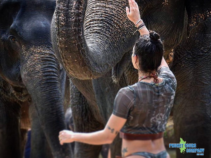 Krabi Elephant Sanctuary Program A