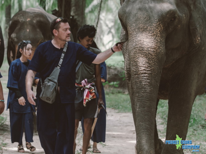 Krabi Elephant Sanctuary Program B Afternoon Tour