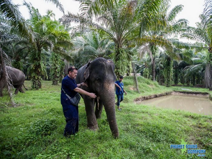 Krabi Elephant Sanctuary Program B Afternoon Tour