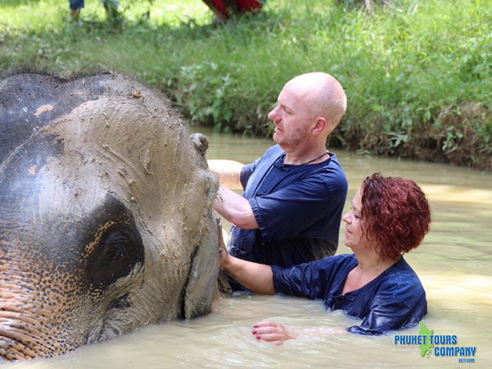 Krabi Elephant Sanctuary Program B Afternoon Tour