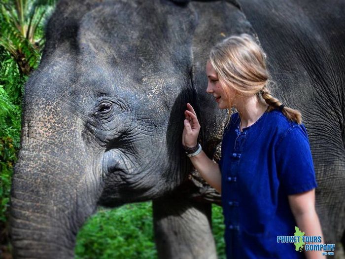 Krabi Elephant Sanctuary Program B Afternoon Tour