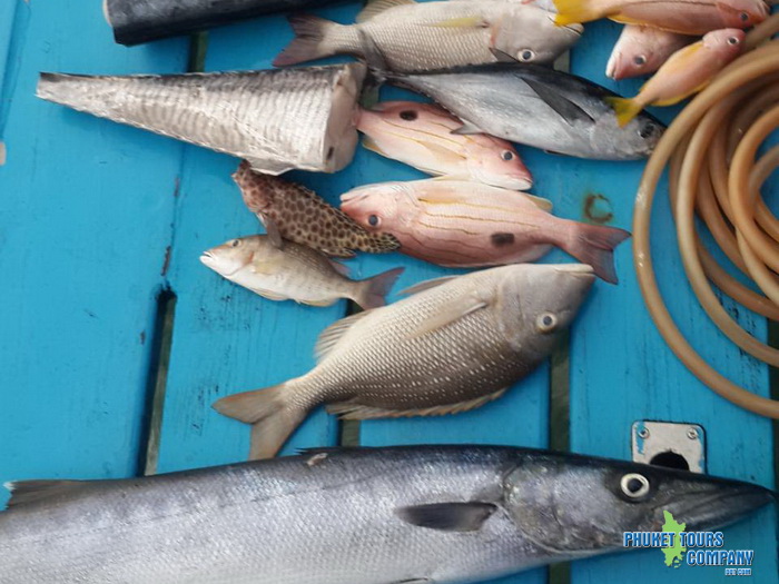 Krabi Fishing Half Day Morning Tour