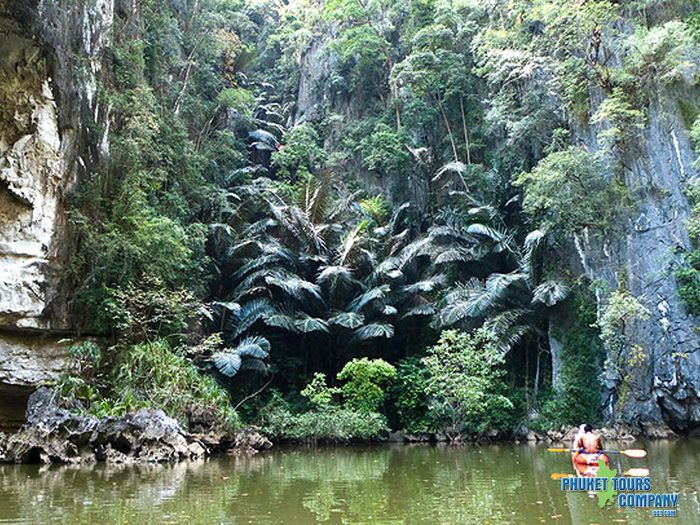 Krabi Kayak Half Day Ao Thalane