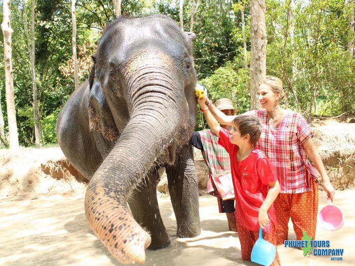 The Oasis Elephant Care Phuket Afternoon Tour