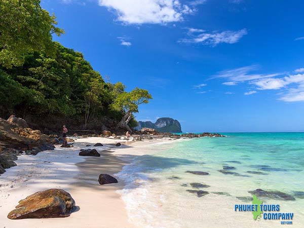 Phi Phi Island Bamboo Island by Speed Boat Premium Tour