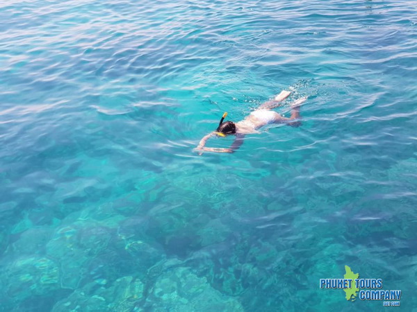 Phi Phi Island Full Day Tour