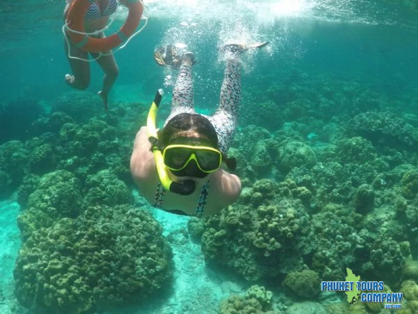 Phi Phi Island Half Day Tour from Koh Phi Phi