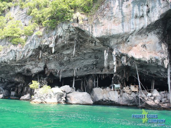 Phi Phi Island