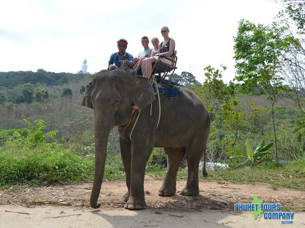 Phuket ATV 1 Hour & Elephant Trekking 30 Minutes  & Monkey Show
