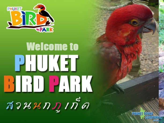 Phuket Bird Park