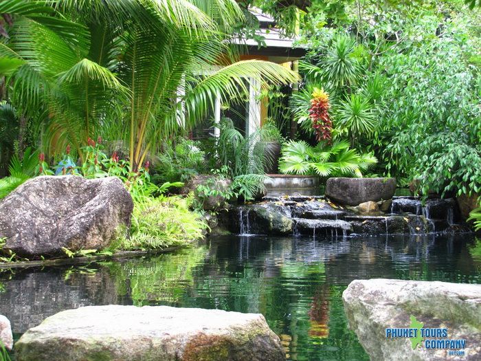 Phuket Botanic Garden