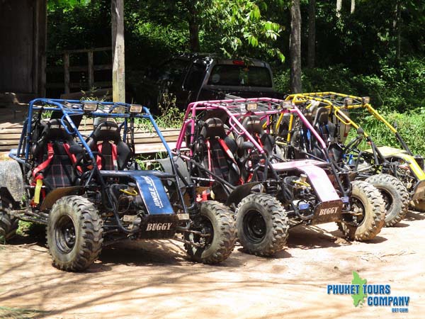 Buggy 1 Hour Elephant Trekking 30 Minutes Monkey Show