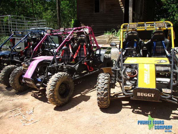 Buggy 1 Hour Elephant Trekking 30 Minutes