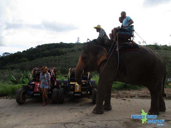 Buggy 1 Hour Elephant Trekking 30 Minutes