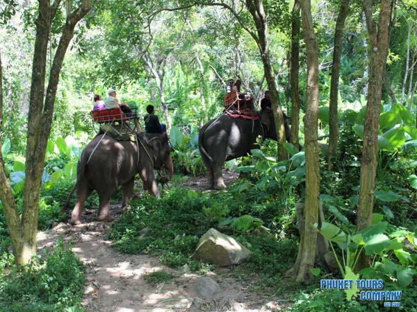 Phuket City Elephant Trekking ATV Tour