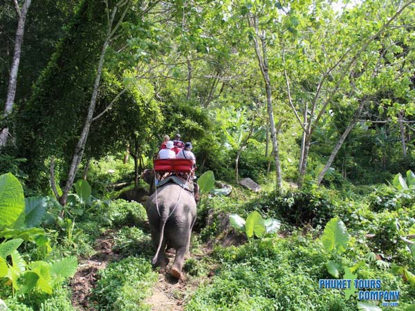 Phuket City Half Day Afternoon Tour