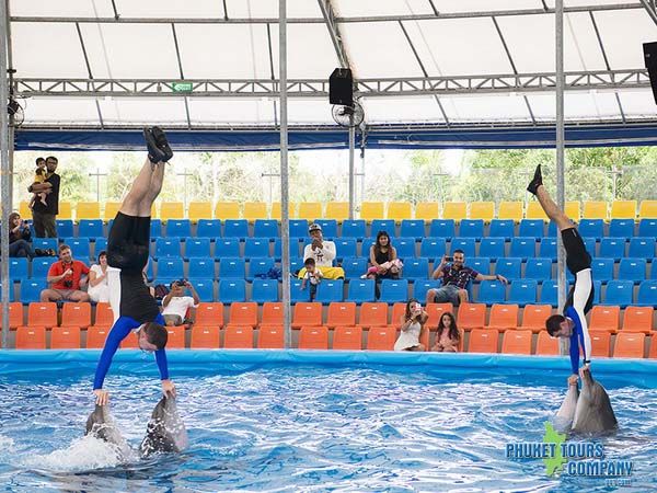 Phuket Dolphin Show Regular Seats