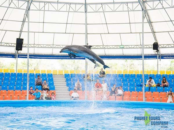 Phuket Dolphin Show Regular Seats