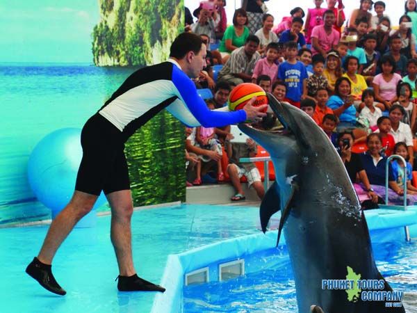 Phuket Dolphin Show Regular Seats