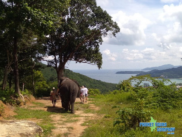 Phuket Elephant Jungle Beach Tour