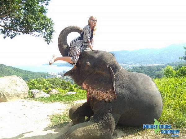 Phuket Elephant Jungle Beach Tour