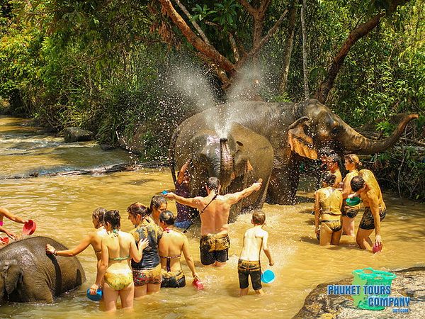 Phuket Elephant Jungle Sanctuary Afternoon