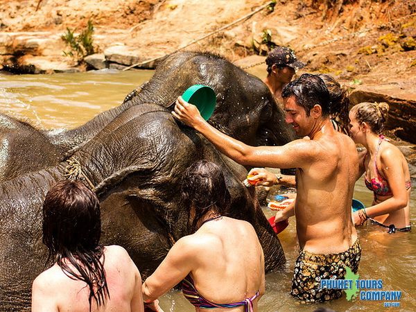 Phuket Elephant Jungle Sanctuary Afternoon