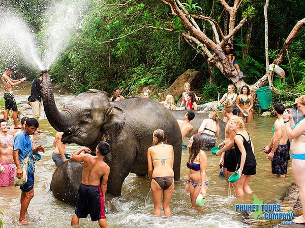 Phuket Elephant Jungle Sanctuary Afternoon