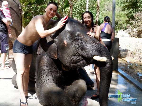 Phuket Elephant Retirement Sanctuary Afternoon Tour