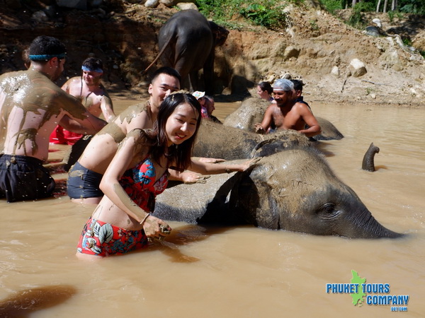 Phuket Elephant Retirement Sanctuary Afternoon Tour