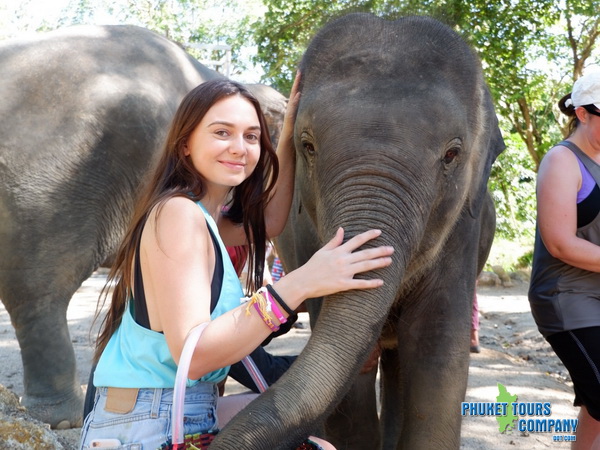 Phuket Elephant Retirement Sanctuary Morning Tour
