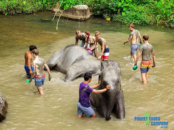 Phuket Elephant Jungle Sanctuary Morning