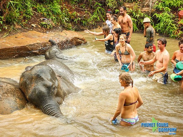 Phuket Elephant Jungle Sanctuary Morning