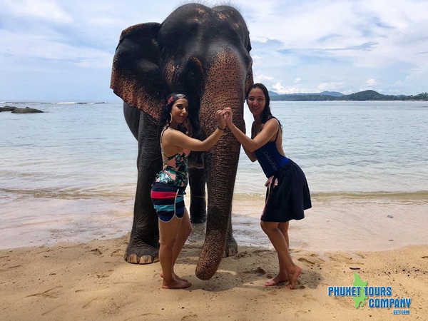 Phuket Elephant Swim in Sea Tour 1 Hour