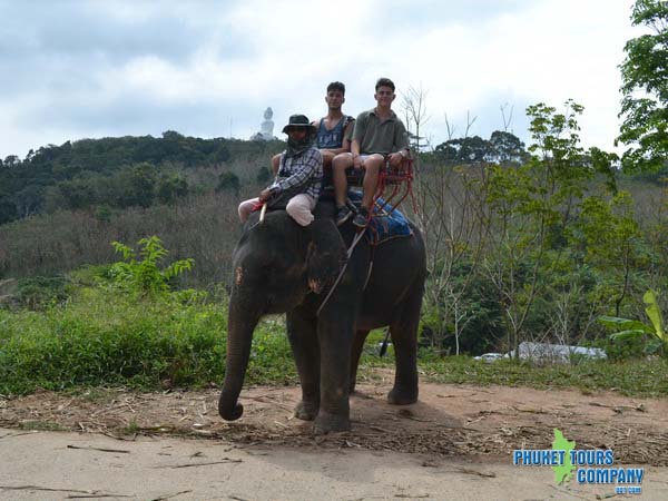 Phuket Elephant Trekking 45 Minutes