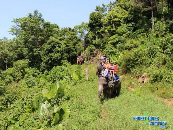 Phuket City Elephant Trekking Tour